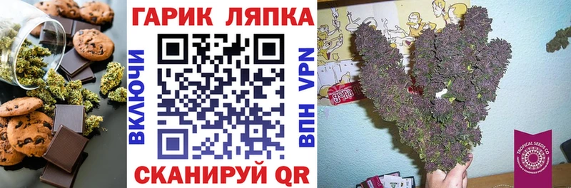 Cannafood конопля  как найти наркотики  Новосокольники 