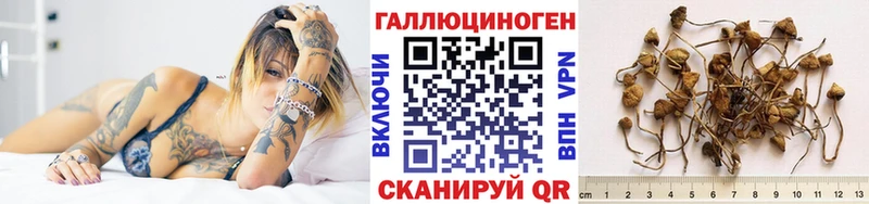 Псилоцибиновые грибы ЛСД  кракен tor  Новосокольники 
